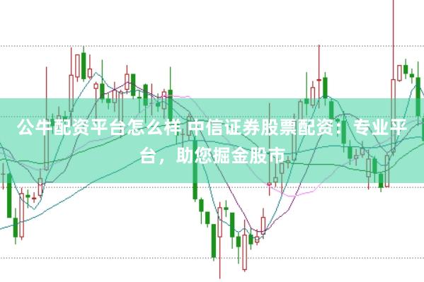 公牛配资平台怎么样 中信证券股票配资：专业平台，助您掘金股市