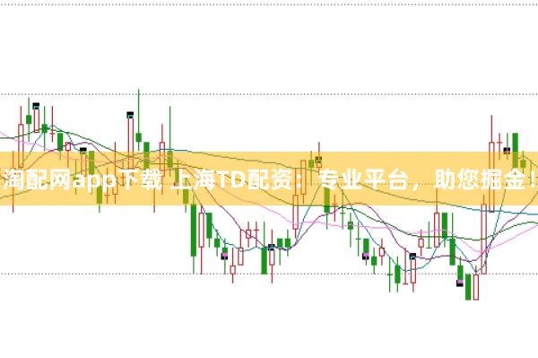 淘配网app下载 上海TD配资：专业平台，助您掘金！