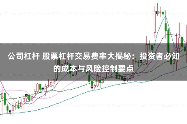 公司杠杆 股票杠杆交易费率大揭秘：投资者必知的成本与风险控制要点