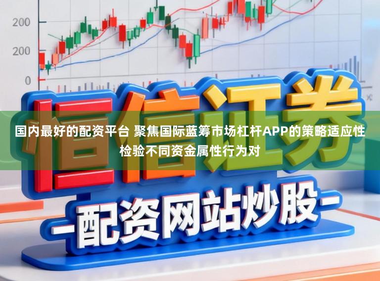 国内最好的配资平台 聚焦国际蓝筹市场杠杆APP的策略适应性检验不同资金属性行为对